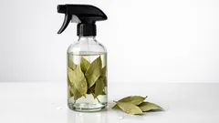 Essig und Lorbeerblatt als Hausmittel: so entfernst du Gerüche und putzt natürlich