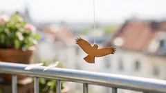 So funktioniert die Greifvogel-Silhouette am Balkon wirklich – und wann sie versagt