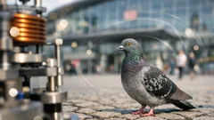 Wie Tauben das Erdmagnetfeld nutzen: neue Studie verortet den Magnetsinn im Innenohr