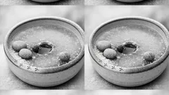 Vogeltränke im Winter: so bleibt das Wasser frostfrei und sicher für Meise, Amsel & Co