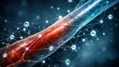 Warum wir um 50 plötzlich schneller altern: Was eine große Proteomik-Studie zeigt