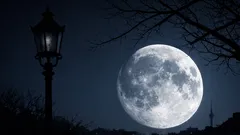 Vollmond im Dezember 2025: Uhrzeit in MEZ, Bedeutung und warum er „Kalter Mond“ heißt