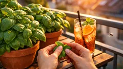 Basilikum gegen Mücken: so platzierst du die Pflanze richtig auf Balkon und Terrasse