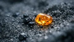 Bernstein in der Antarktis: winzige Funde zeigen, dass hier einst Wälder wuchsen