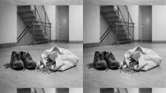 Blue Zones erklärt: Warum Alltagsbewegung wichtiger ist als Sport für ein langes Leben